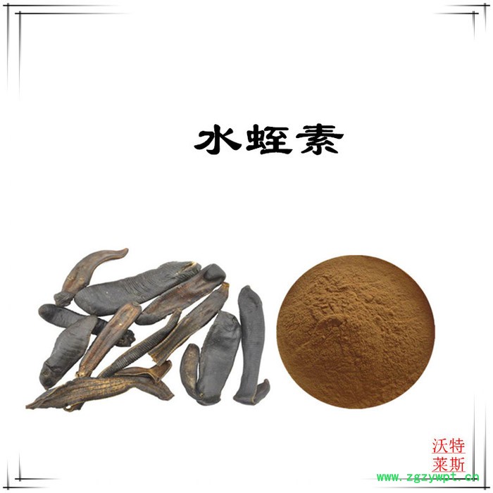 水蛭提取物10:1 水蛭粉 水蛭素图3