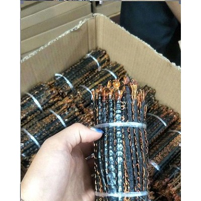 蜈蚣整只滋补品厂家批发保鲜参泡酒煲汤人参泡酒料中药材鲜人参礼品鲜参龟头子男性泡酒料益肾果药材批发吉林长白山整只现货招代理