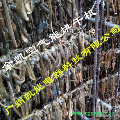 水蛭烘干机 金凯水蛭烘干机 空气能水蛭烘干机 高温热泵烘干除湿一体机 招商 加盟图3