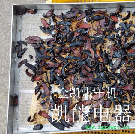水蛭烘干机 金凯水蛭烘干机 空气能水蛭烘干机 高温热泵烘干除湿一体机 招商 加盟图5