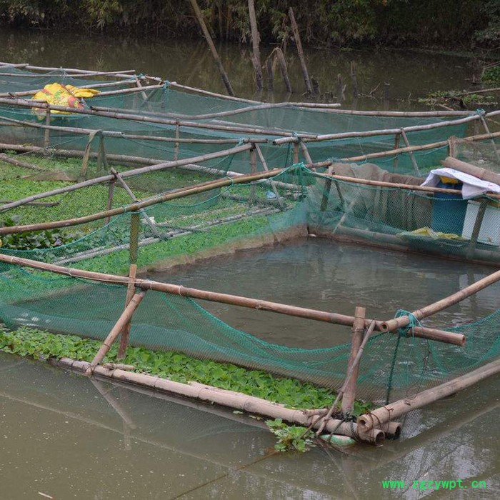 【永宏】   专业定制  网箱  养殖网箱  黄鳝泥鳅养殖网箱  水蛭养殖网箱图6