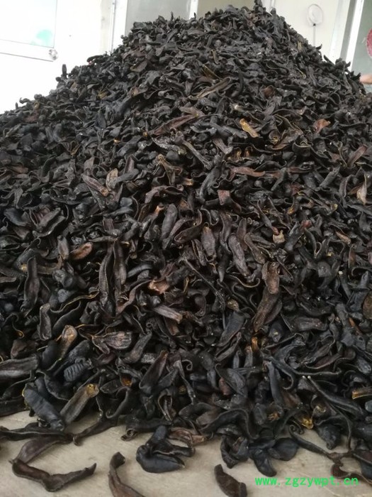 水蛭蚂蝗 清水吊干图4