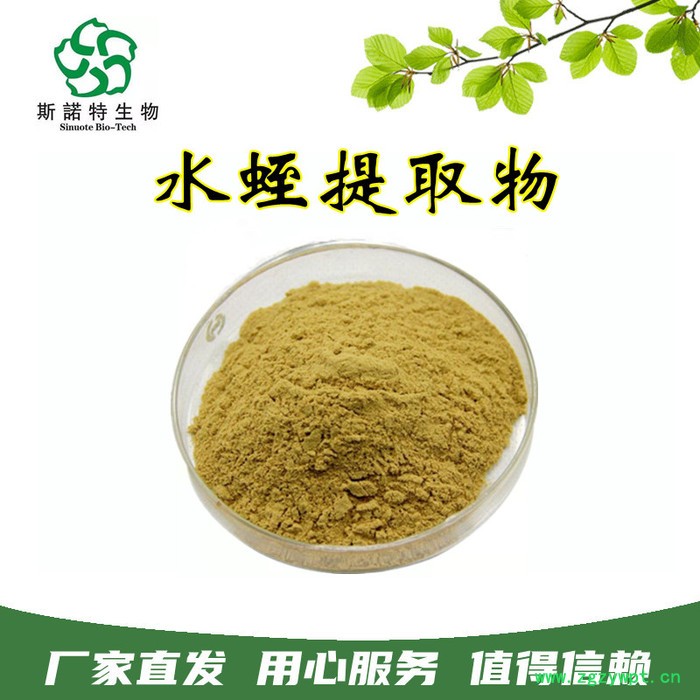 斯诺特生物 10:1水蛭提取物 水蛭素 浓缩粉 水蛭原粉图2