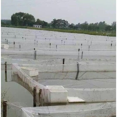 江海渔网       水蛭网箱 水蛭网箱厂家 养殖设备