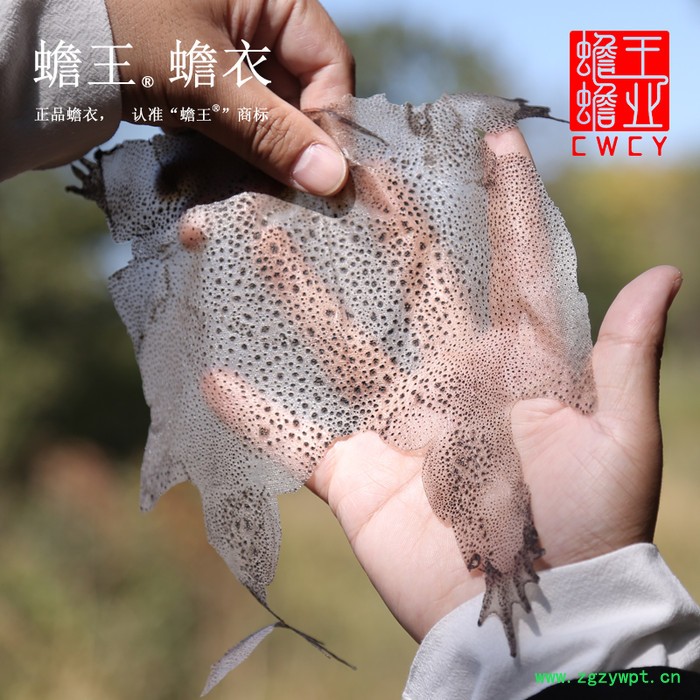 蟾王特级蟾衣厂家发货图3