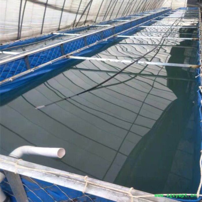 养殖帆布鱼池帆布水池价格 养虾养鱼养水蛭养蚂蟥帆布池图6
