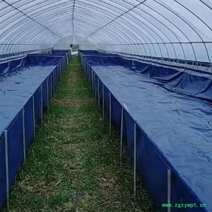 养殖帆布鱼池帆布水池价格 养虾养鱼养水蛭养蚂蟥帆布池图2