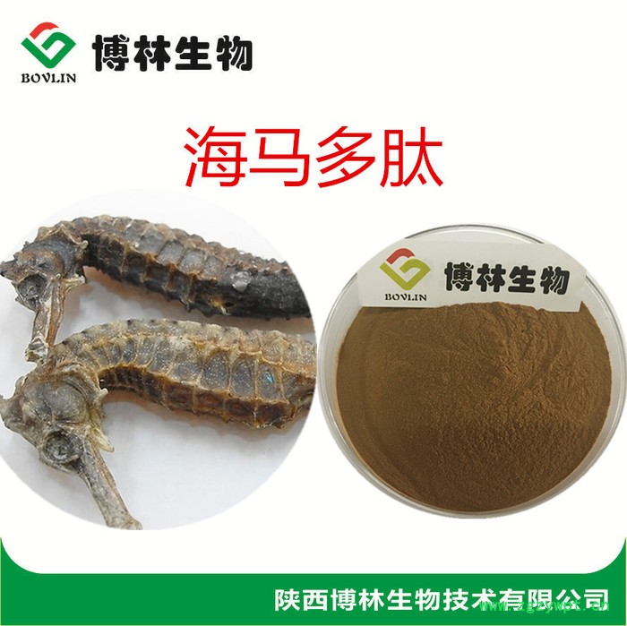 海马多肽 海马提取物 海马粉 水马粉 1kg包邮图4