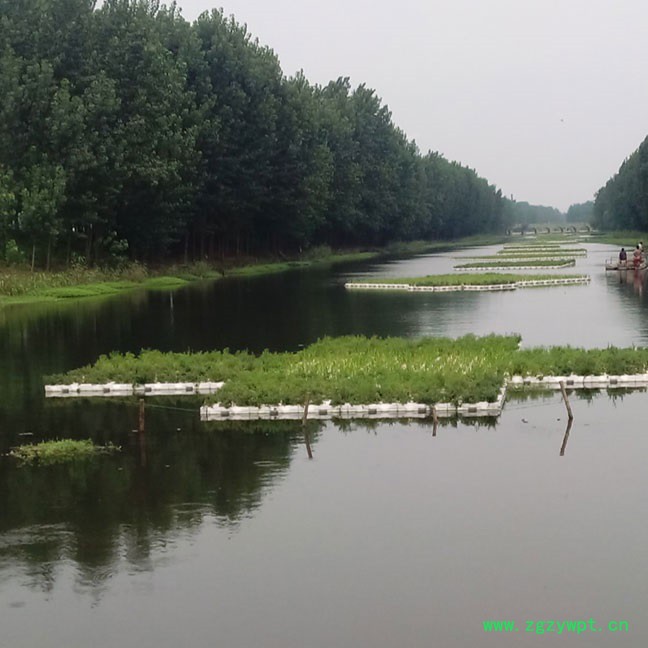 河北【源发】红发水景.净水浮岛、藕苗、水蛭种苗、荷花睡莲水体治理专业快速图4