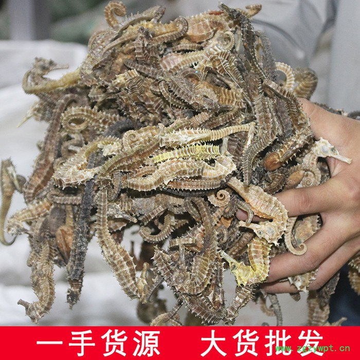 海马干货三斑海马无增重干无增重汤料泡酒海马泡酒料男性配方海马图2