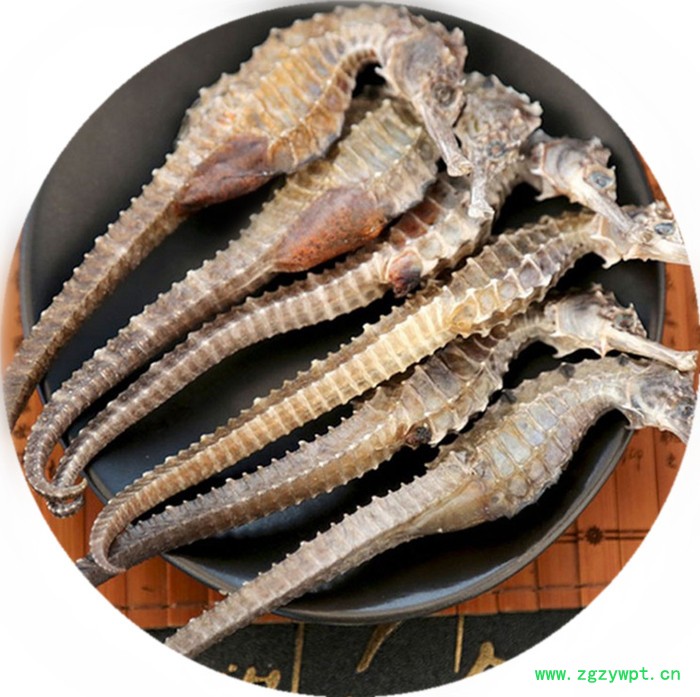 海马干货三斑海马无增重干无增重汤料泡酒海马泡酒料男性配方海马图3