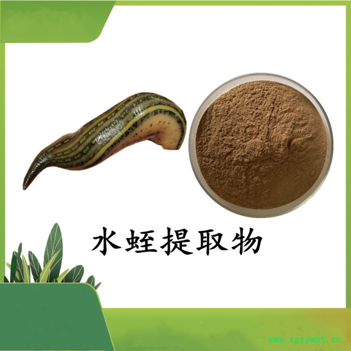 水蛭提取物 斯诺特 可定制图4