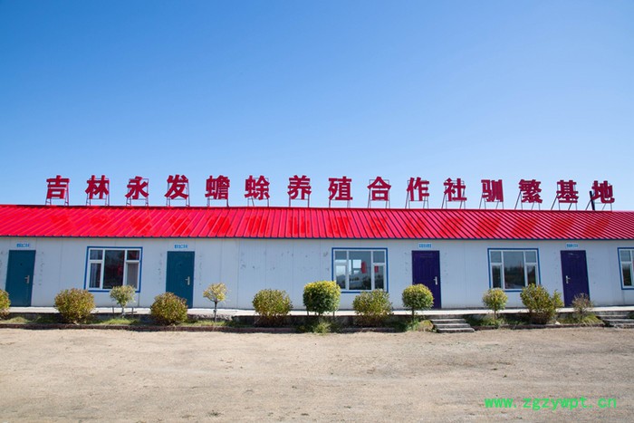 吉林永发蟾蜍专业教学蟾蜍养殖技术包含蟾衣蟾王酥采集加工技术图6