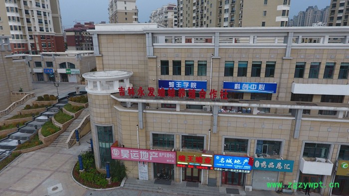 吉林永发蟾蜍专业教学蟾蜍养殖技术包含蟾衣蟾王酥采集加工技术图8