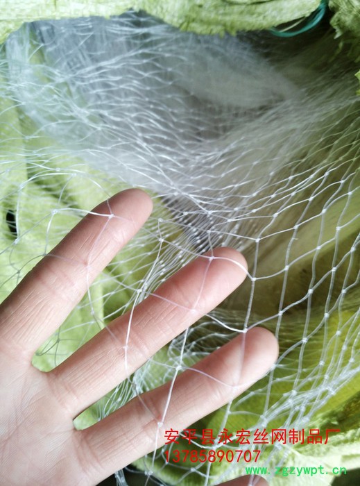 永宏  **  5公分池塘防鸟网  水蛭防鸟网  泥鳅防鸟网  天网抗老化图4