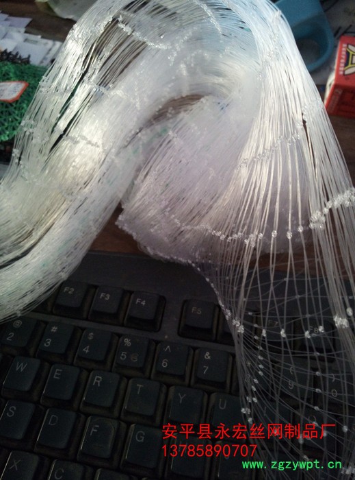 永宏  **  5公分池塘防鸟网  水蛭防鸟网  泥鳅防鸟网  天网抗老化图3