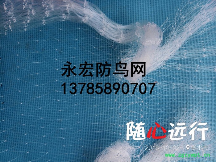永宏  **  5公分池塘防鸟网  水蛭防鸟网  泥鳅防鸟网  天网抗老化