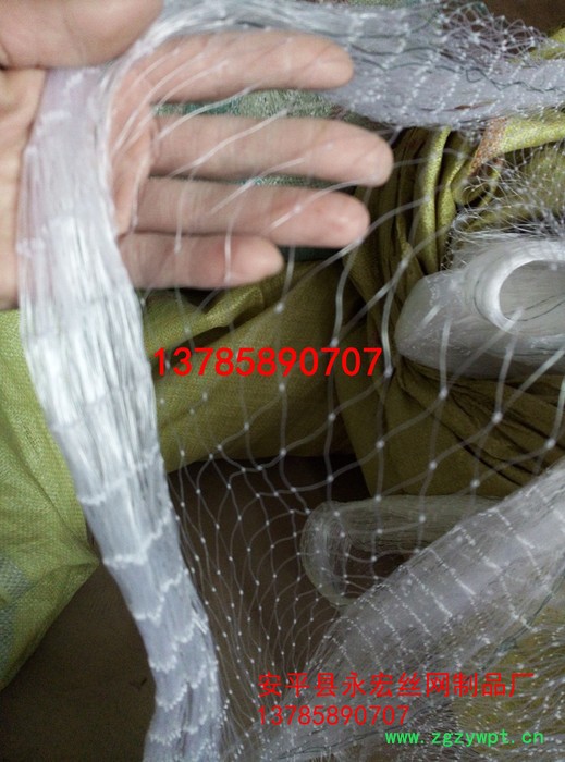 永宏  **  5公分池塘防鸟网  水蛭防鸟网  泥鳅防鸟网  天网抗老化图2
