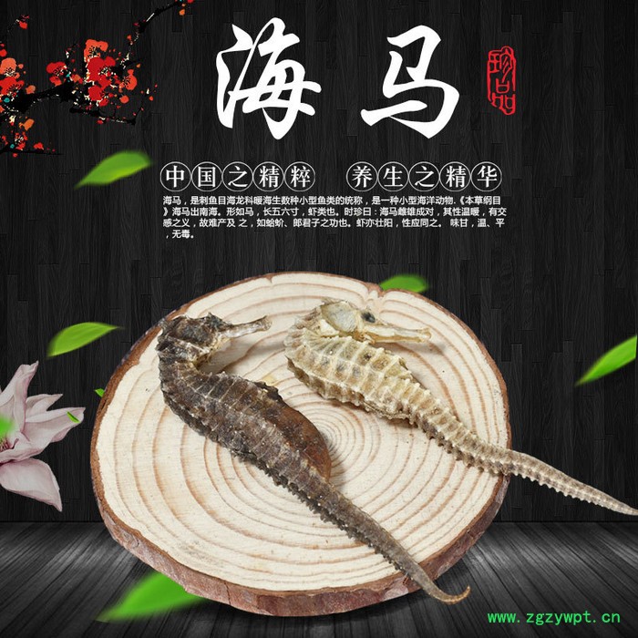 清水海马公母配对干货海马支持一件代发小海马男性泡酒料持久图3