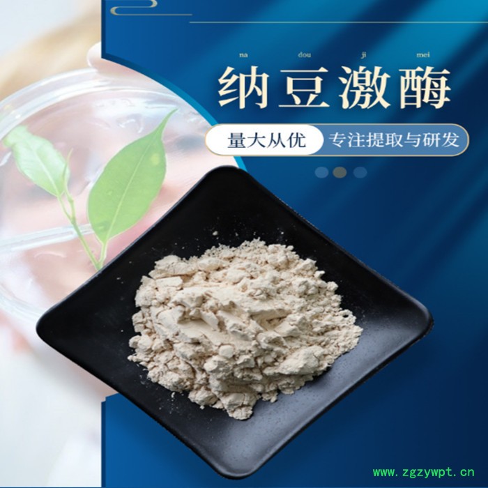 水蛭素   水蛭提取物     500ATU/g     工厂发货图5