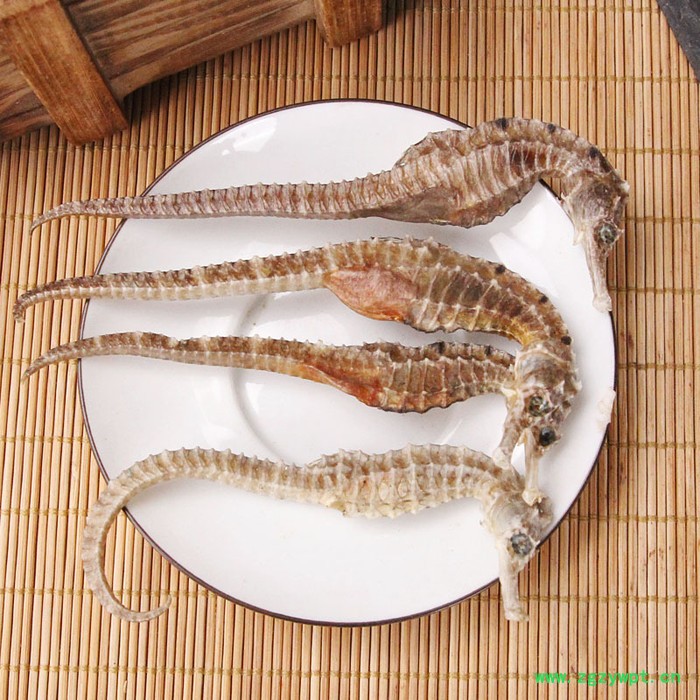 海马干货三斑海马无增重刺海马起批量大从优男性泡酒料持久图3