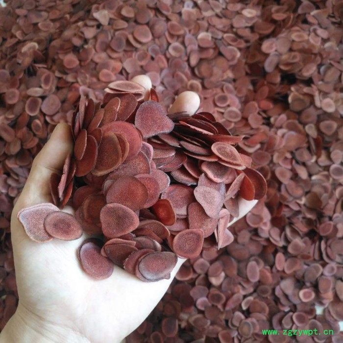 东北干鹿茸片多钱,鹿茸东北特产,滋补强健身图3