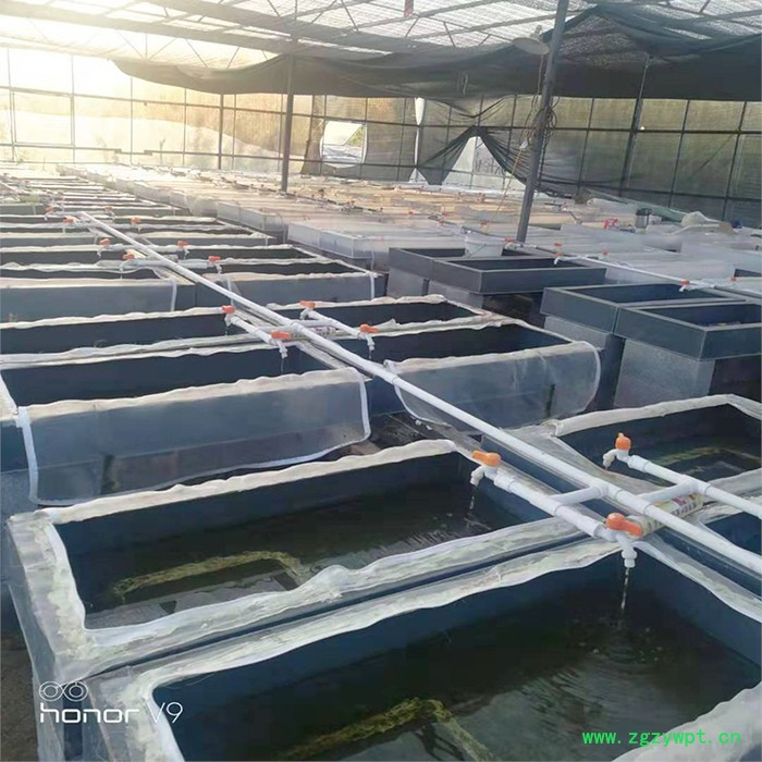 新垣 水产养殖箱 水蛭养殖箱方形蚂蝗养殖箱图3