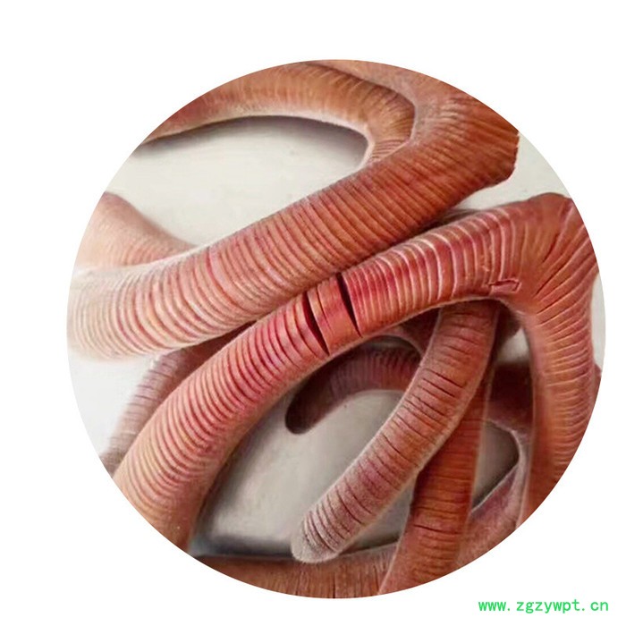 血鹿茸鹿茸整个鹿茸人参鹿茸泡酒图3