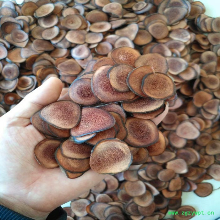 吉林鹿茸片价格,鹿茸红血片,补血补气图3