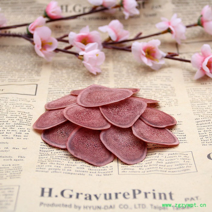 鹿茸片礼盒包装产地批发吉林长白山双阳鹿乡人参鹿鞭片男用鹿鞭膏丸男性男人滋补品肾可搭刚鹿茸猛牡蛎久礼盒包装送礼定制双阳鹿乡图7