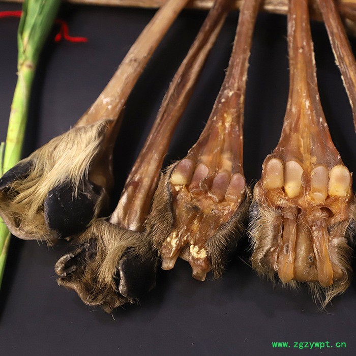 鹿茸**泡酒配方**带蹄强筋活血图2