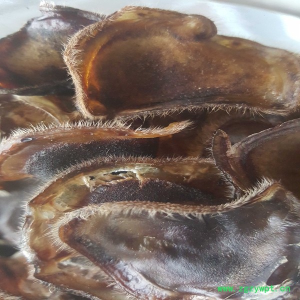 批发长白山**鹿茸 鹿产品 电商 微商 招各种代理 一件代发图4