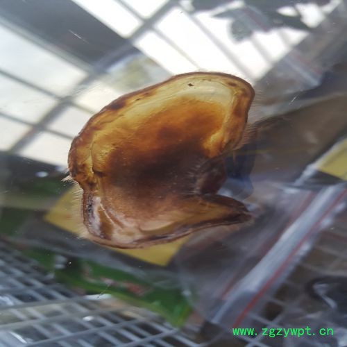 批发长白山**鹿茸 鹿产品 电商 微商 招各种代理 一件代发图2