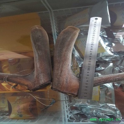 批发长白山**鹿茸 鹿产品 电商 微商 招各种代理 一件代发
