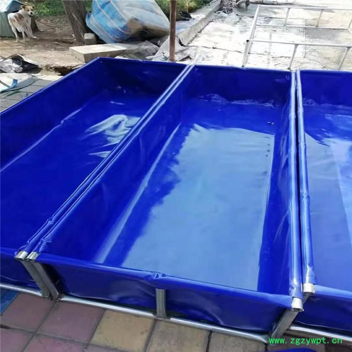 **大型帆布养殖鱼池水蛭锦鲤水产蓄水池可定制图7