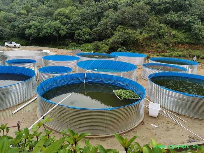 **大型帆布养殖鱼池水蛭锦鲤水产蓄水池可定制图4