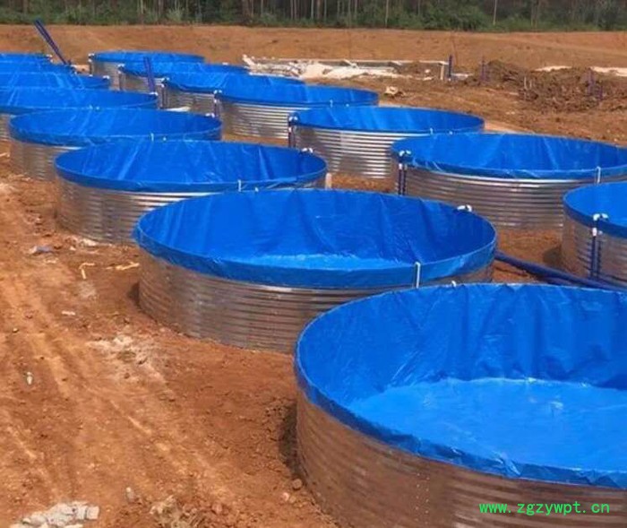 **大型帆布养殖鱼池水蛭锦鲤水产蓄水池可定制图5