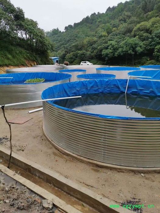 **大型帆布养殖鱼池水蛭锦鲤水产蓄水池可定制图2