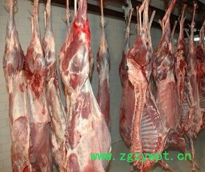 批发新鲜鹿副产品 ** 鲜** 鲜鹿茸 免费送货上门图2