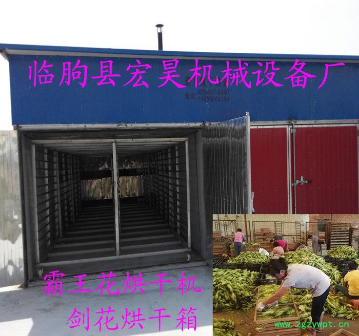 宏昊HH-300供应 土元烘干机 蝇蛆烘干设备 蚯蚓片烘干箱 水蛭烘干房蚂蟥 蚯蚓烘干箱图2