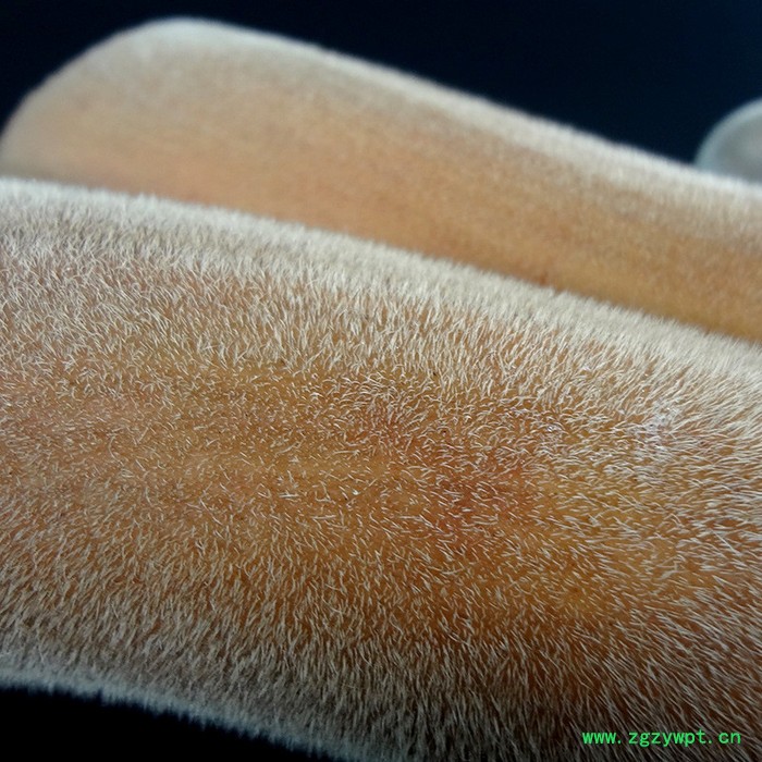 东北鹿茸价格,二杠茸鹿茸,滋补养生图2