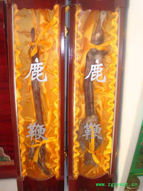 鹿茸酒鹿鞭功效 新鲜鹿鞭做法 价格低 泡酒佳品图3