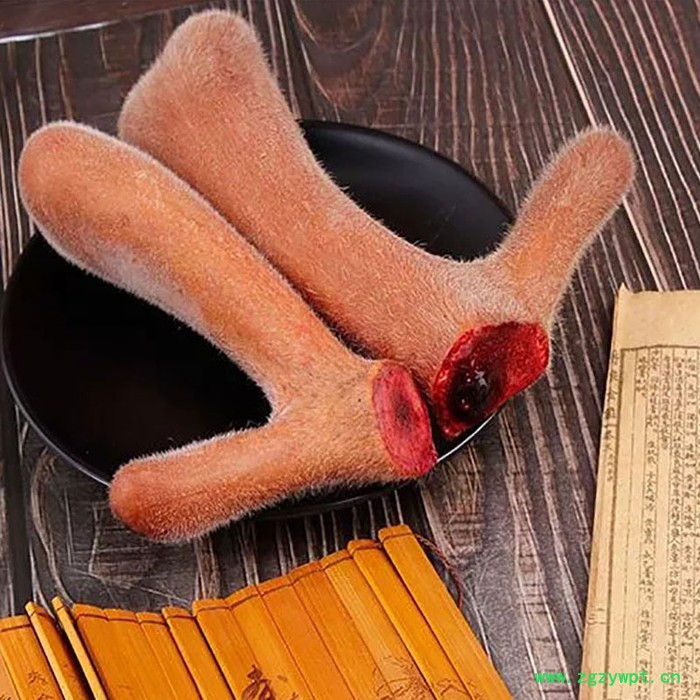 整支鹿茸批发整只支根梅花礼盒鹿茸片礼盒木质人参鹿茸鹿鞭片滋补产品吉林双阳鹿乡整只批发礼盒礼品送礼东北特产鹿鞭膏土特产男性图3