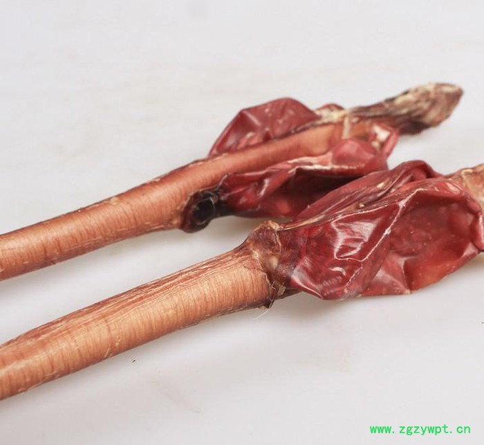 鹿鞭片鹿鞭鹿茸片鹿茸血酒鹿鞭整枝切片泡酒料滋补保健肾宝鹿茸鹿鞭片滋补礼盒礼品送礼东北特产鹿鞭膏土特产男性用品鹿鞭片送礼人图3