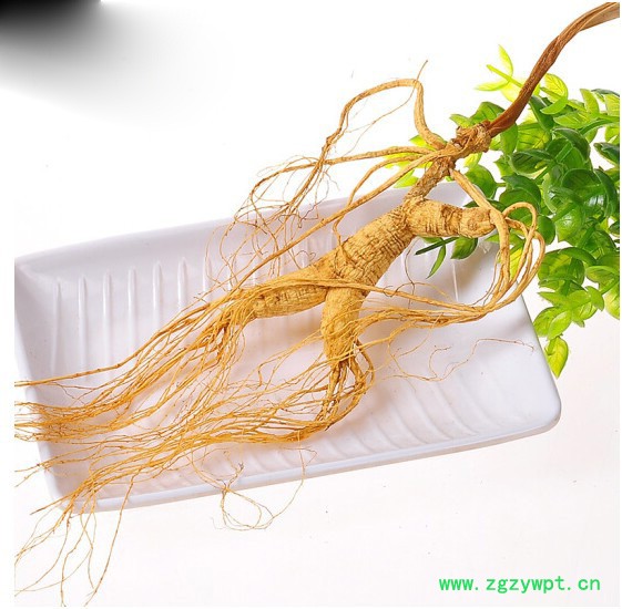 鹿茸野山参泡酒移山参林下参白参林下参图2