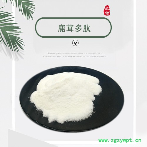 鹿茸多肽98% 鹿茸提取物 小分子多肽 100g起订 鹿茸肽粉 厂家现货图3