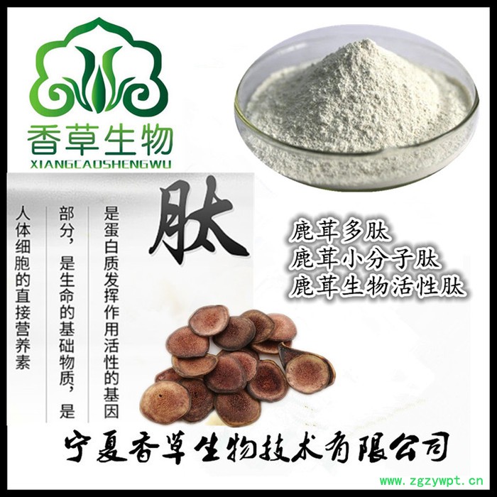 鹿茸小分子肽易吸收 鹿茸多肽96%图4