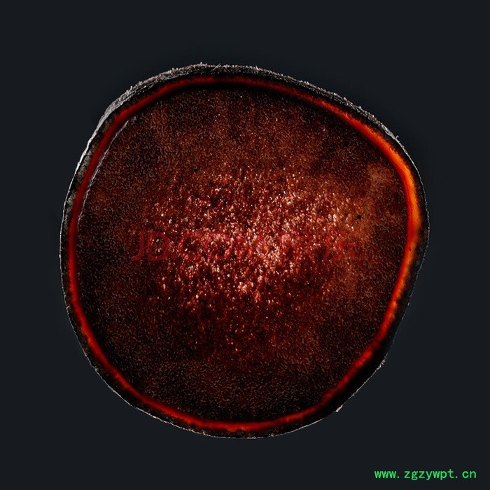 鹿茸片蜡圈鹿全腊鹿茸鹿茸片 白色鹿茸片新鲜鹿茸图2