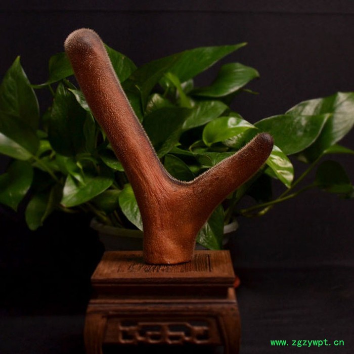 干鹿茸（每克价格） 每枝130g-150g左右整支礼盒切片机片干头茬整根梅花粉鹿茸鹿茸血冻干粉男性保健品鹿鞭膏土特产男性图2