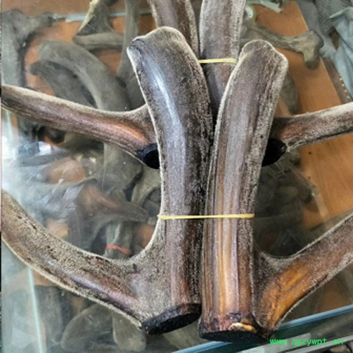 干鹿茸（每克价格） 每枝130g-150g左右整支礼盒切片机片干头茬整根梅花粉鹿茸鹿茸血冻干粉男性保健品鹿鞭膏土特产男性图3